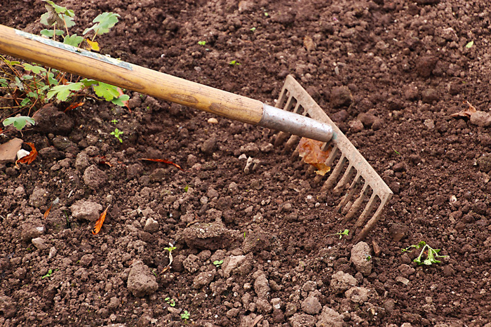 Fall Gardening Tips New England: Preparing for a Flourishing Spring