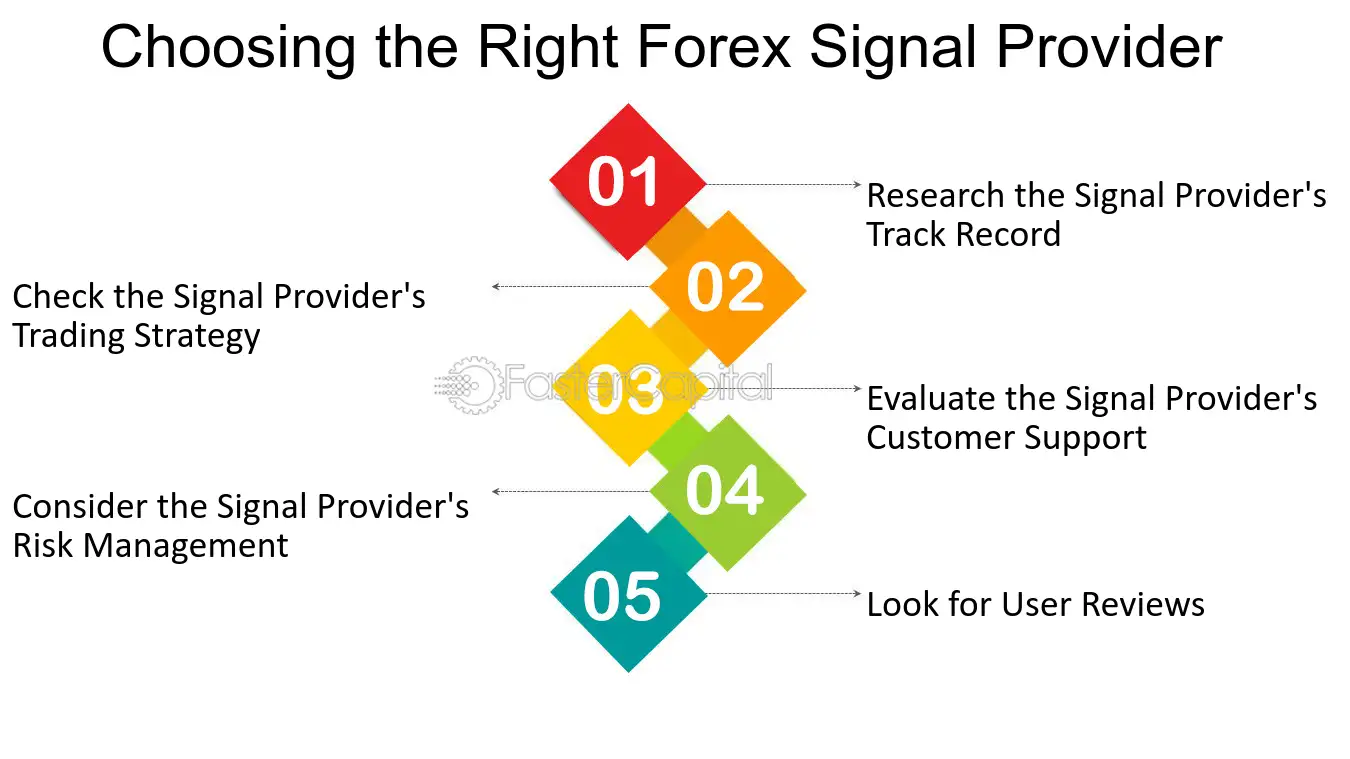 Finding the Best Forex Signal Provider: A Story of Success
