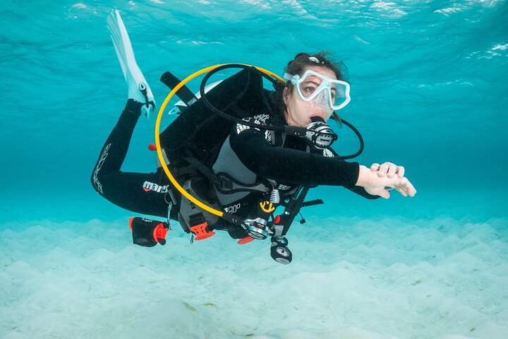 Scuba Diving in Madeira: Exploring the Underwater Wonders
