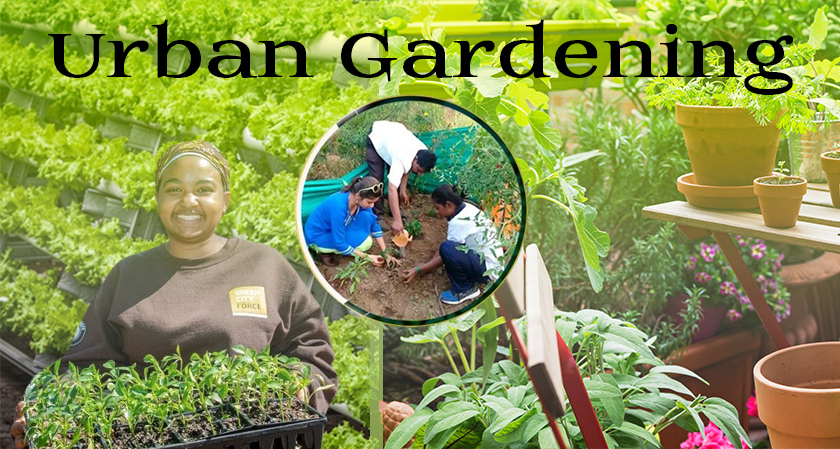 Urban Gardening Tips: Cultivating Green Spaces in the City